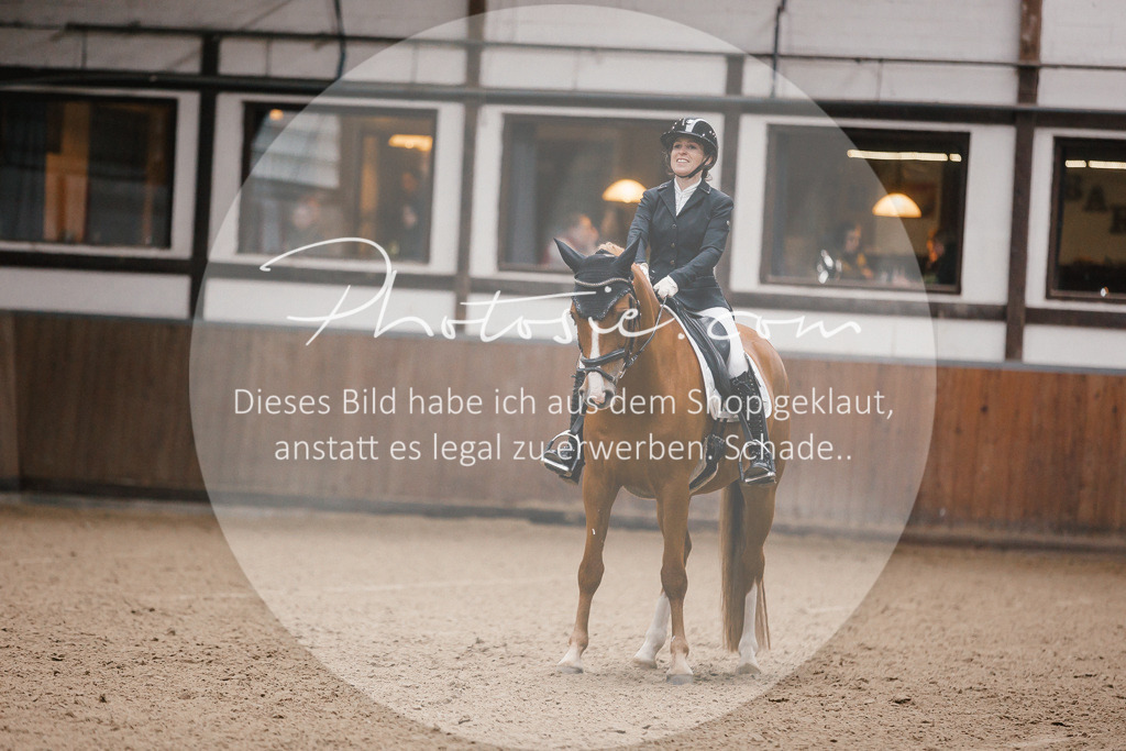 3I6A6462 | Stimmungsvolle Portraits und Reitsportfotografie im Ruhrgebiet und im Münsterland.

Pferdefotografie, Hundefotografie, Tierfotografie, Reportagen, Portraits von Tier und Mensch, Turnierfotografie in Bochum, Recklinghausen, Marl, Haltern am See, Dülmen.. - Realisiert mit Pictrs.com
