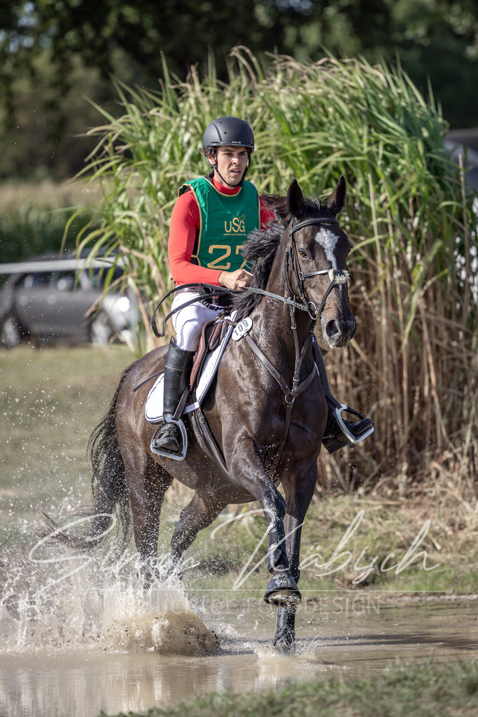 20250907-_3LI2787 | Tierfotografie Pferde, Hunde, Katzen, Haustiere.
Turnierfotografie Reitturniere, Reiten, Springreiten, Dressur in Hanau, dem Main-Kinzig-Kreis und dem Rhein-Main- Gebiet um Frankfurt