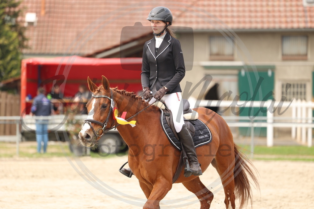 994A9008 | sabrinanicolaifotografie - Realisiert mit Pictrs.com