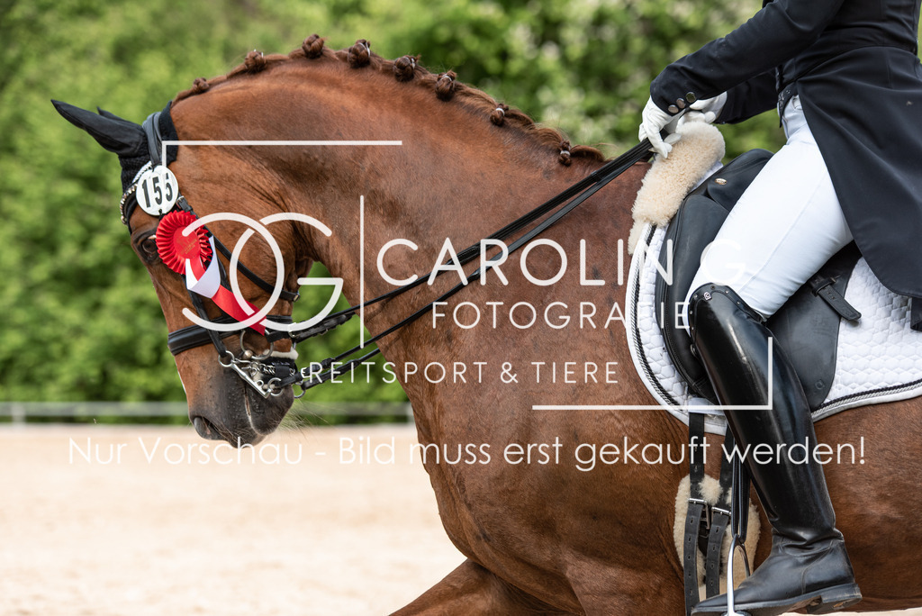 DSC_4368 | Turnierfotografin Carolin Gieschke, Turnierfotografie Carolin G Fotografie, Turnierfotos Kirchheim/Teck, Esslingen, Stuttgart, Bodenseekreis