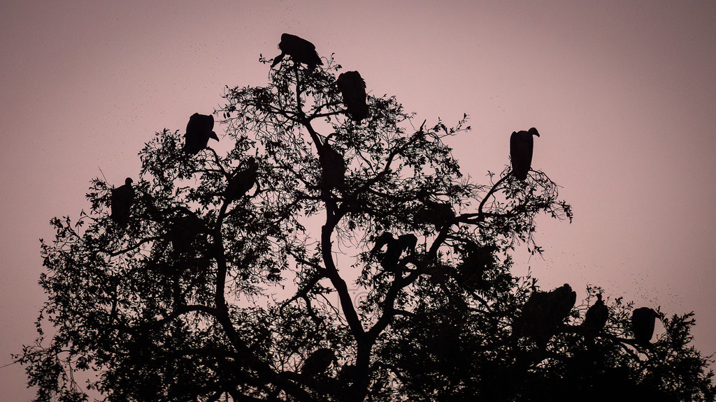 PANA4144-Bearbeitet-2017-LR | Natur im Moment - Realisiert mit Pictrs.com