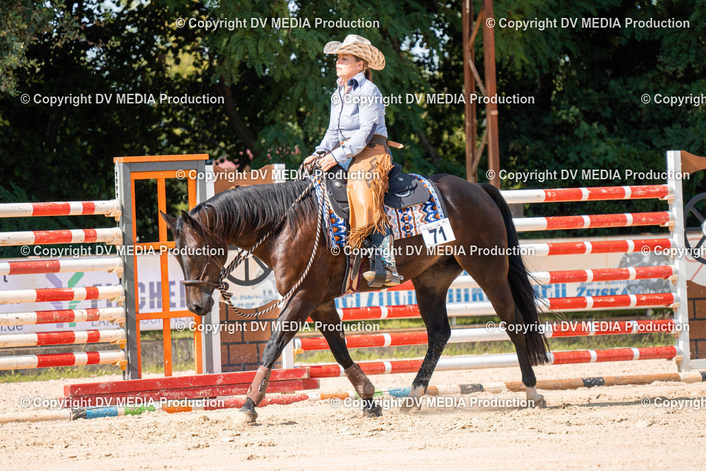 ZH100332 | dv-media-shop - Realisiert mit Pictrs.com