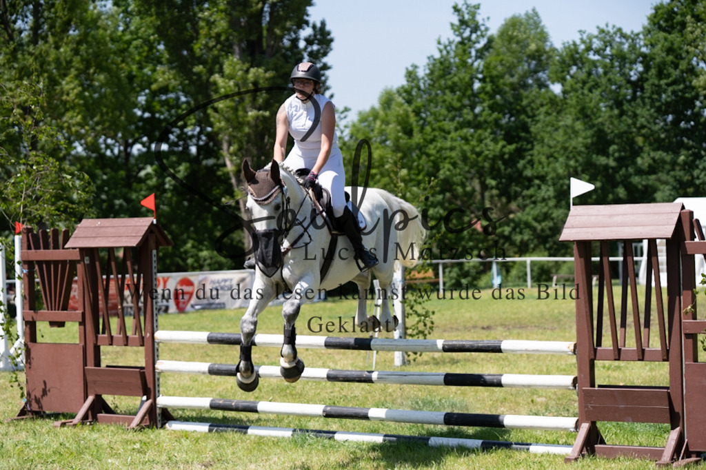 A7V05959 | Pferdefotograf