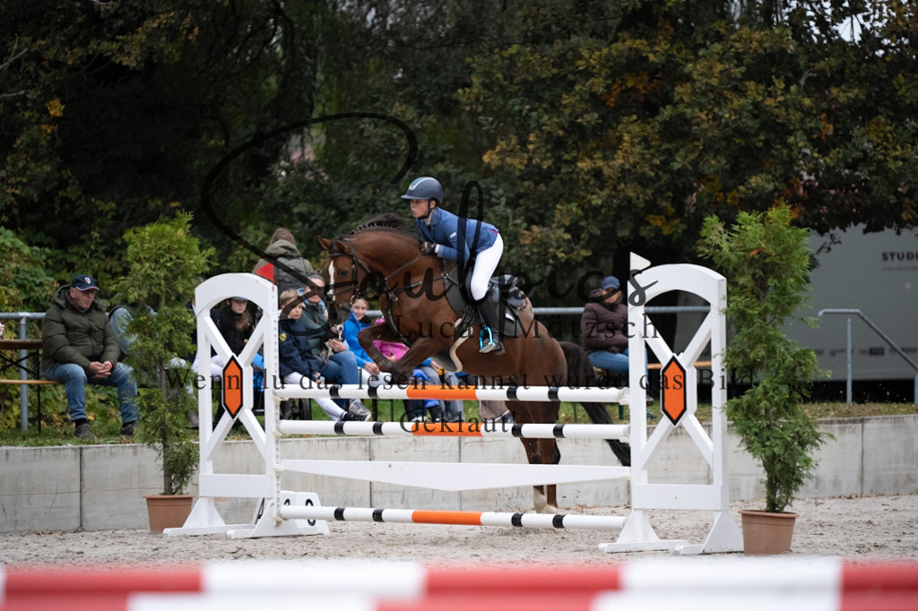 A7V08833 | Pferdefotograf