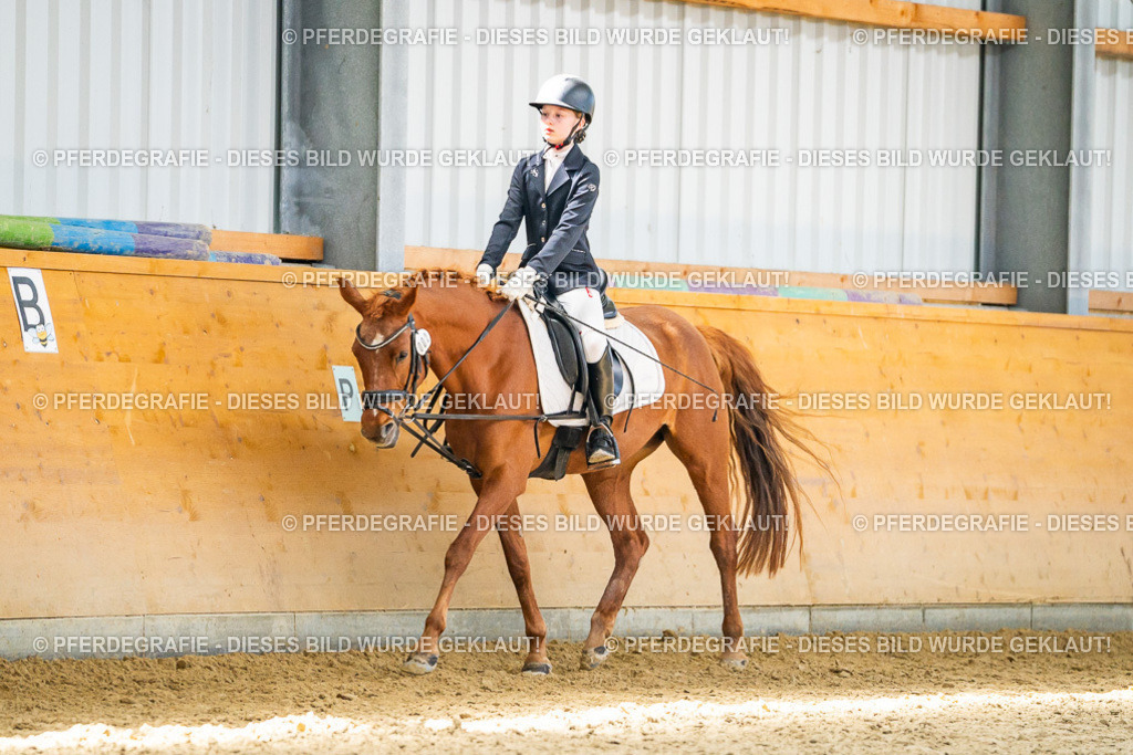 DSC03230 | Pferdegrafie