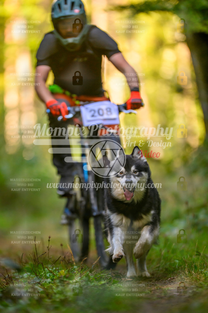 MompixPhotography_Yens2025_B3-23 | PayLife