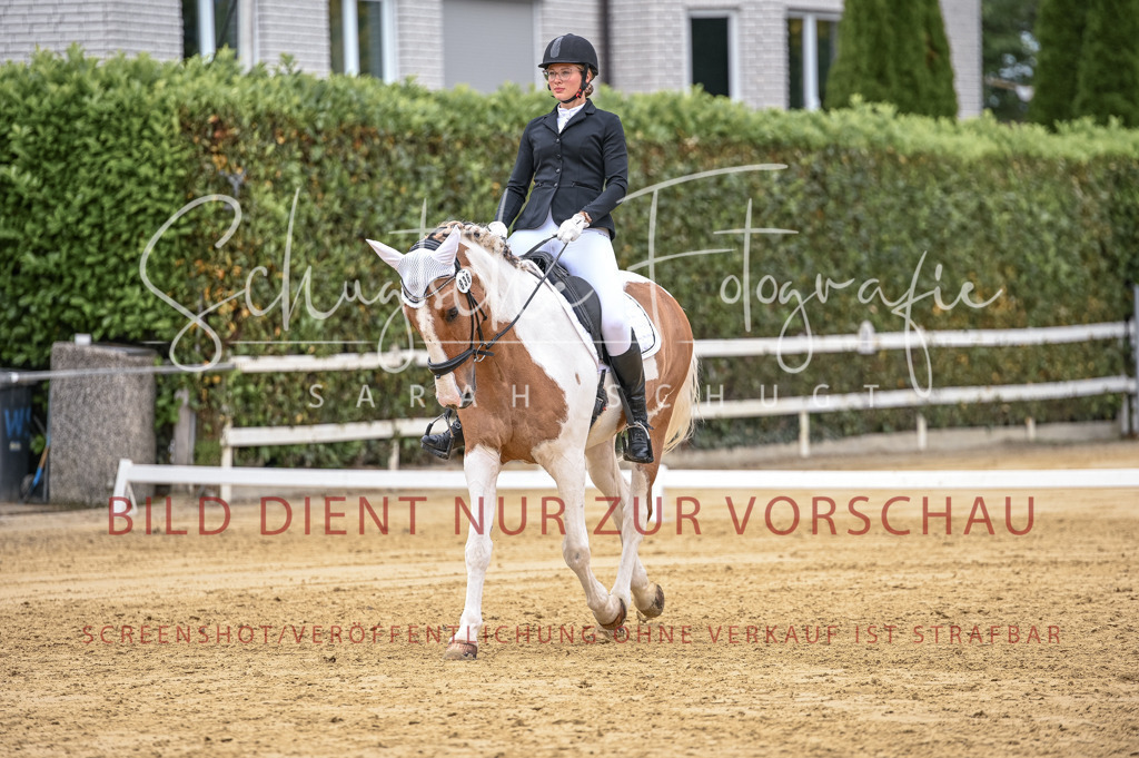 Schugtsche-Aluta25-43.EDressur -43 | Schugtsche Fotografie - Realisiert mit Pictrs.com