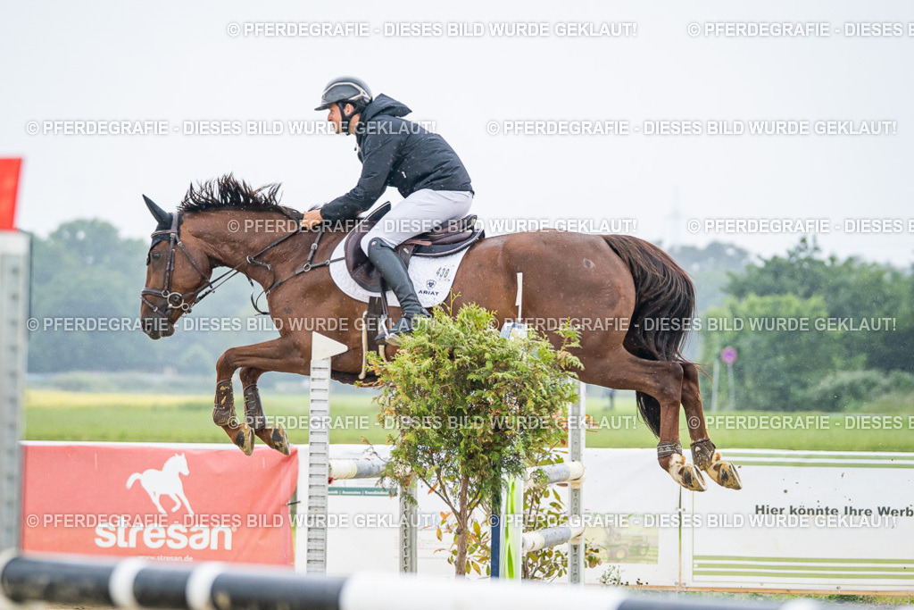 DSC01490 | Pferdegrafie