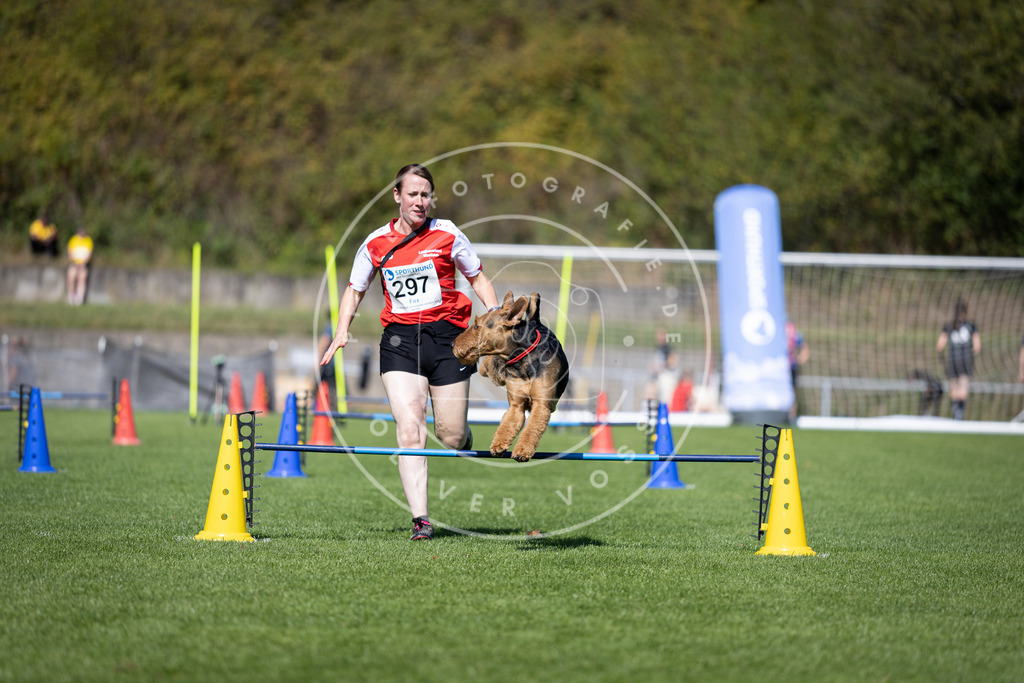 Pfotenfotografie_DV3A7655 | Hundefotografie, Tierfotograf, Pfotenfotografie, Fotoshooting Hund, Hunde Portrait, Hundesport, Hundeportraits, Heideshooting, Hunde, Sportfotograf, Hundefotograf, Turnierhundsport, THS,  - Realisiert mit Pictrs.com