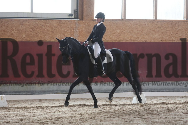 Balingen_2025_Sichtungsturnier_Junge Reiter_Dressurprfg.Kl.S_Kaya WehrleFürstenprinz 3 (7) | Alle Fotos der Reiterjournal Fotografin Doris Matthaes im Reiterjournal Online-Fotoshop. - Realisiert mit Pictrs.com