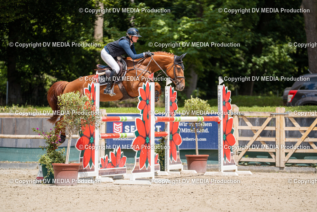 Hessische Tag 1-528 | dv-media-shop - Realisiert mit Pictrs.com