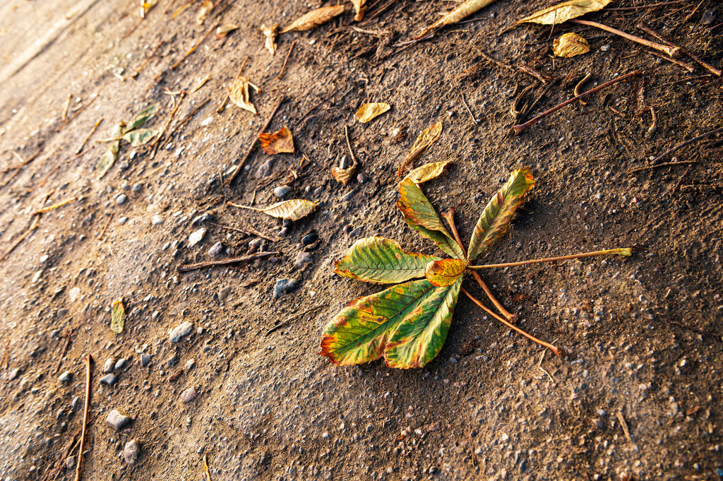 2022_11_19_SH-HETLINGER-SCHANZE_MCP5953 | Hochwertig gedruckte Fotografien für die Wand, als Kalender und zum Verschenken. Hamburg & Norddeutschland und überall wo ich mit der Kamera unterwegs war.