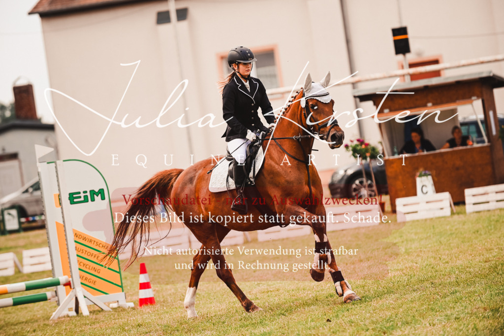 DSC_6859 | Pferde- und Turnierfotografie in Westsachsen. Pferdeportraits, Auftragszeichnungen und intuitive Kunst.