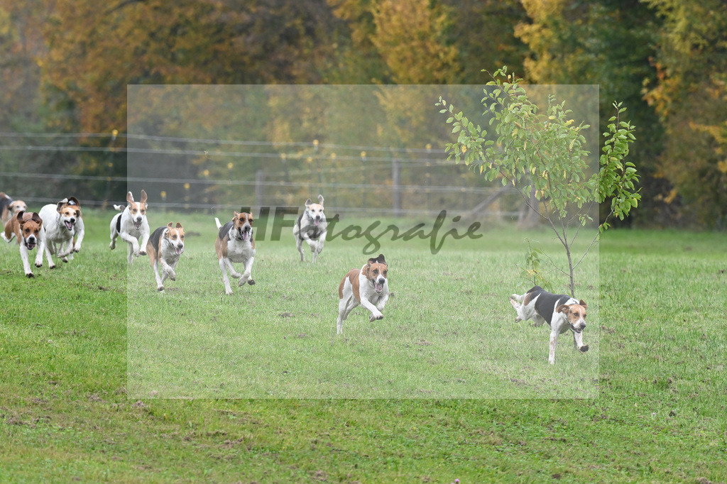 5622123 | hf-fotografie - Realizzato con Pictrs.com