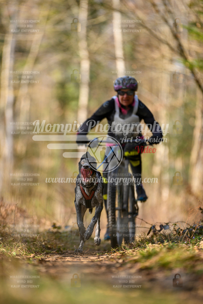 MompixPhotography_6ReiatRennen2026_SO_Bike-1 | PayLife