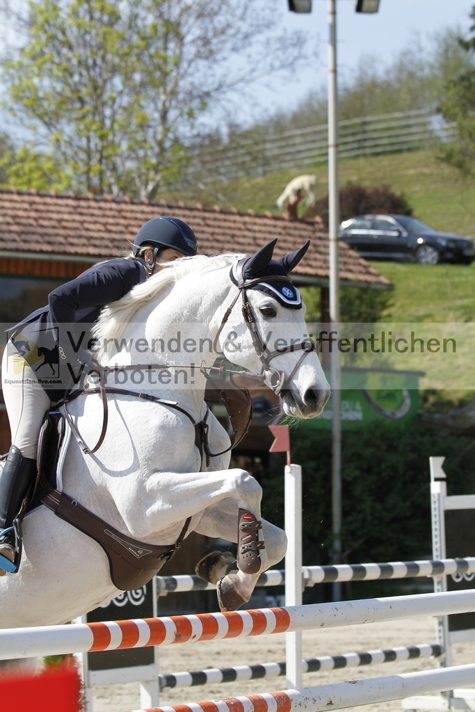 _MG_9548 | equestrian-live-com