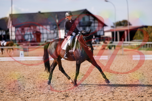 2026_10_03_Siefer-Hof_133827_Z81_96331774 | Professionelle Reitsport-, Turnier- und Eventfotografie von Robert Broda. Galerien mit ausgewählten und bearbeiteten Bildern direkt online ansehen und bestellen.