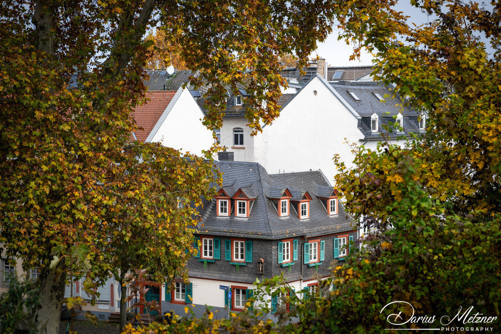 DSC_4333 | Fotografien, Fotos und Bilder aus Mainz, Frankfurt, Wiesbaden und anderen Orten auf der Welt - Fotografiert von Darius Metzner
