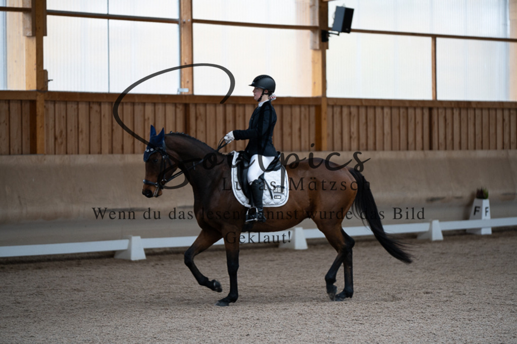 A7V02409 | Pferdefotograf