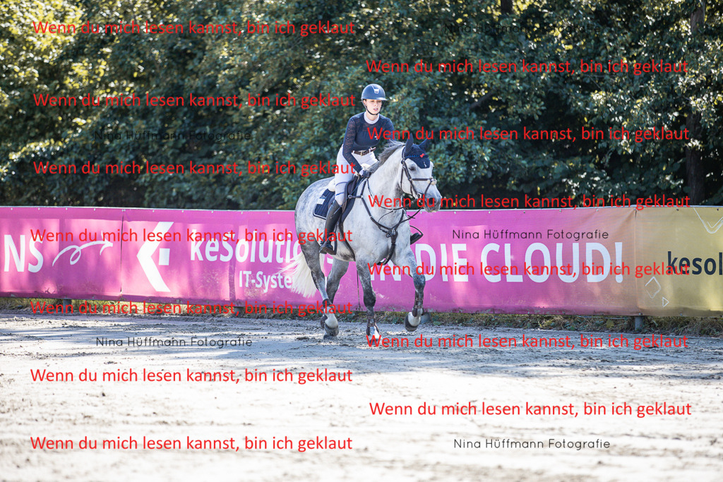 BK1A6816 | Turnierbilder Turnierfotos Nina Hüffmann Turnierfotografie Pferdefotografie Tierzeichnung Haustierzeichnung Pferdezeichnung Hundezeichnung Videograf  - Realisiert mit Pictrs.com