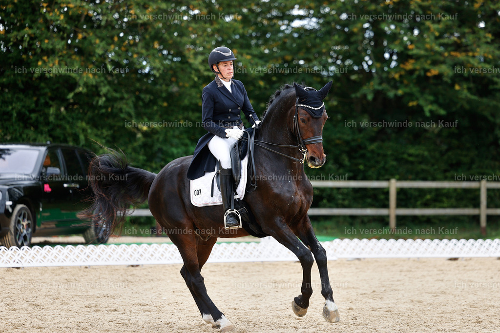 11-007-Dressur S___-StoibPH-1117 | working equitationturnier fotograf videograf stoibphotography marixx film working equitation deutschland reitsport turnierfotografie eventfotografie equestrian events