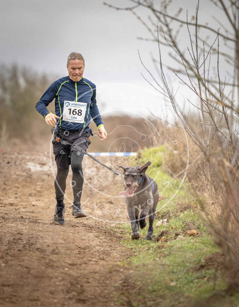 DV3A1883 | Hundefotografie, Tierfotograf, Pfotenfotografie, Fotoshooting Hund, Hunde Portrait, Hundesport, Hundeportraits, Heideshooting, Hunde, Sportfotograf, Hundefotograf, Turnierhundsport, THS,  - Realisiert mit Pictrs.com