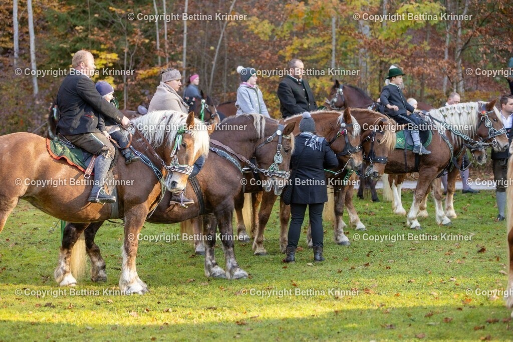 LL24-249 | foto-bettina-krinner - Realisiert mit Pictrs.com
