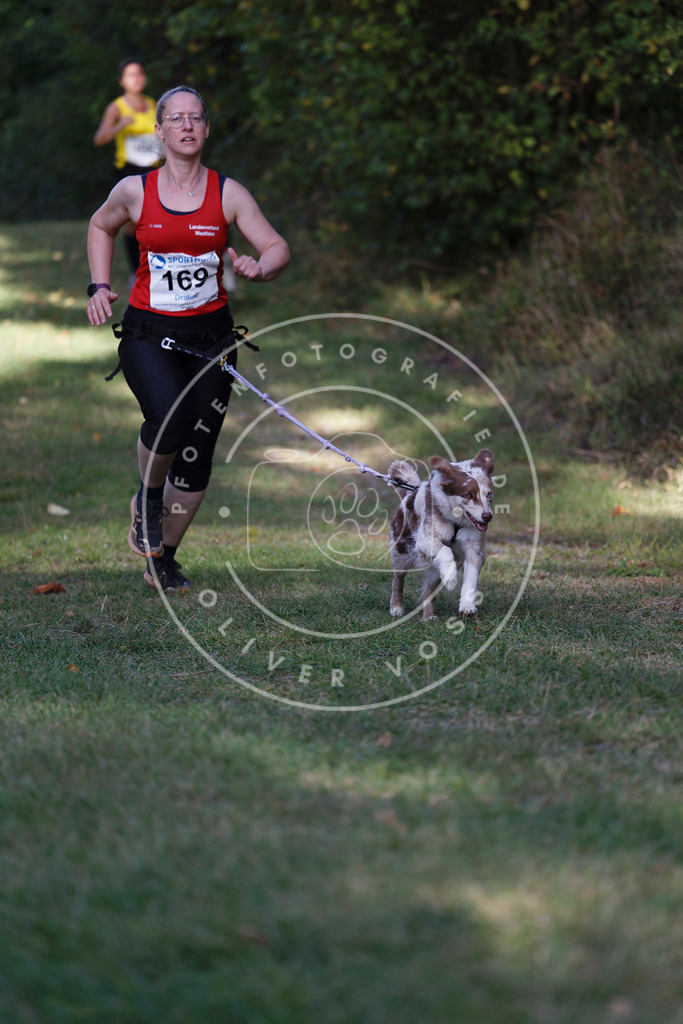0L8A5300 | Hundefotografie, Tierfotograf, Pfotenfotografie, Fotoshooting Hund, Hunde Portrait, Hundesport, Hundeportraits, Heideshooting, Hunde, Sportfotograf, Hundefotograf, Turnierhundsport, THS,  - Realisiert mit Pictrs.com