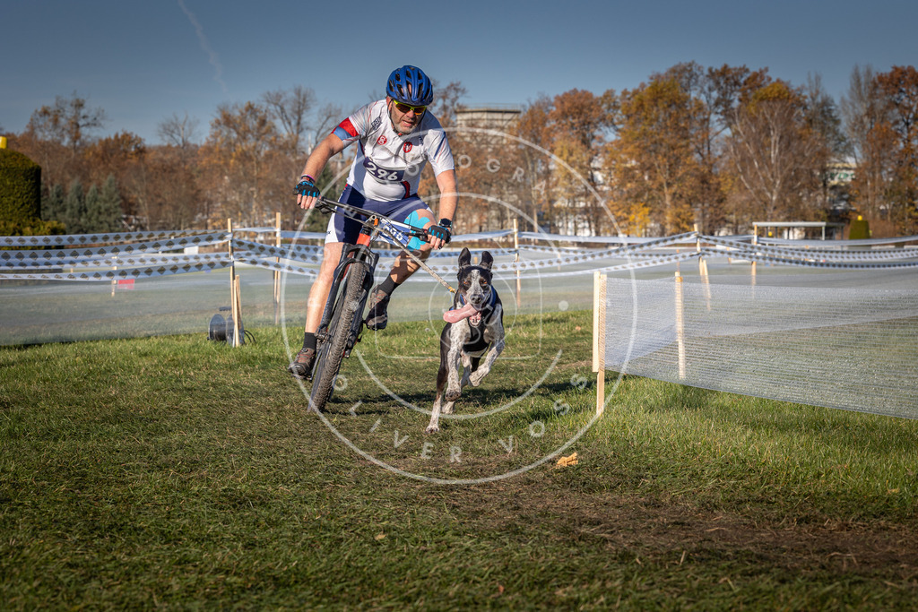 CaniXpix_0L8A5426 | Hundefotografie, Tierfotograf, Pfotenfotografie, Fotoshooting Hund, Hunde Portrait, Hundesport, Hundeportraits, Heideshooting, Hunde, Sportfotograf, Hundefotograf, Turnierhundsport, THS,  - Realisiert mit Pictrs.com