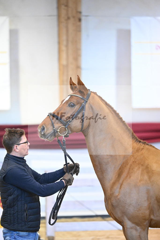 Kat-Nr. 101 Hernandez de la Cigale Z_Roedl_66221289 | hf-fotografie - Realisiert mit Pictrs.com