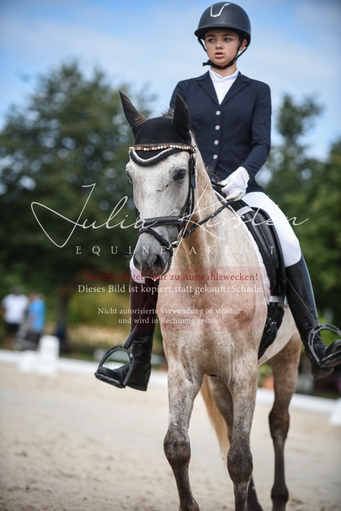 DSC_8668 | Pferde- und Turnierfotografie in Westsachsen. Pferdeportraits, Auftragszeichnungen und intuitive Kunst.