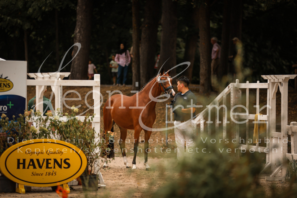 10.-12.Elite00108 | Leoni Ertmer Photography - Realisiert mit Pictrs.com