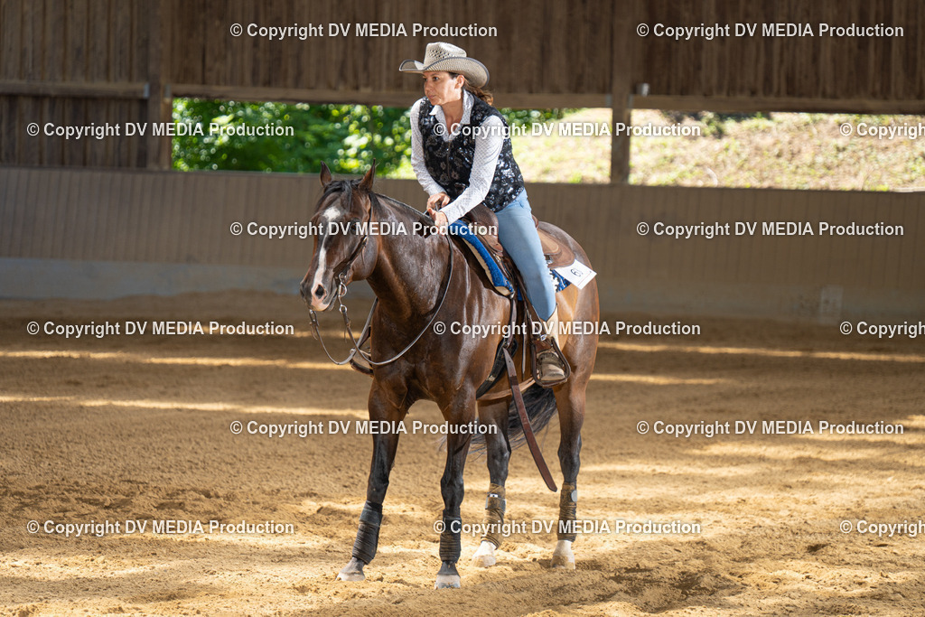 DSC00055 | dv-media-shop - Realisiert mit Pictrs.com