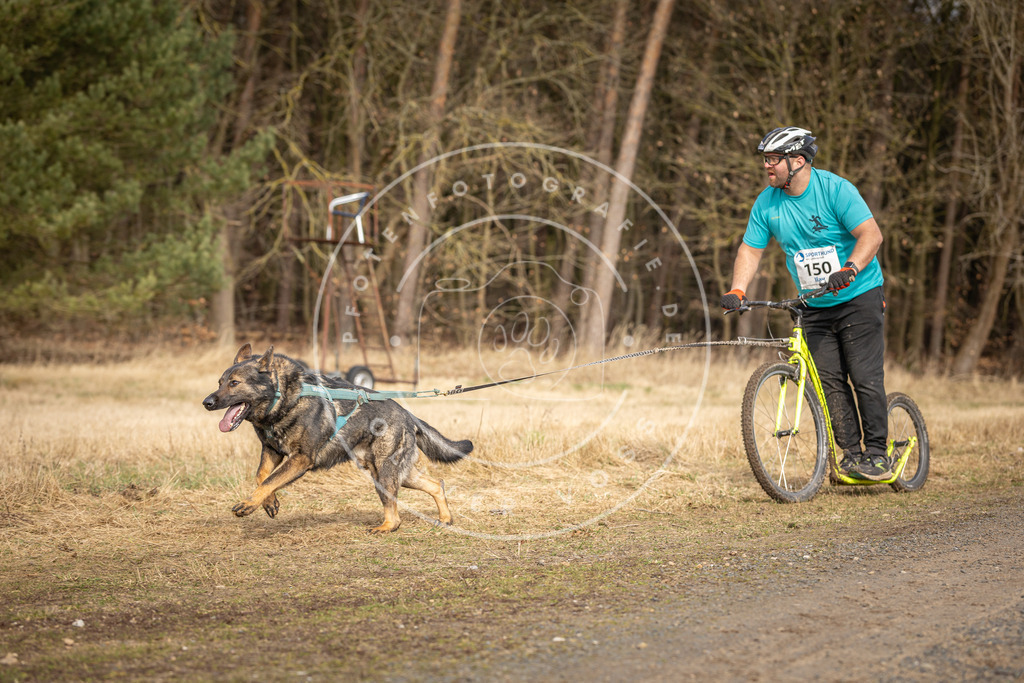 DV3A4819 | Hundefotografie, Tierfotograf, Pfotenfotografie, Fotoshooting Hund, Hunde Portrait, Hundesport, Hundeportraits, Heideshooting, Hunde, Sportfotograf, Hundefotograf, Turnierhundsport, THS,  - Realisiert mit Pictrs.com