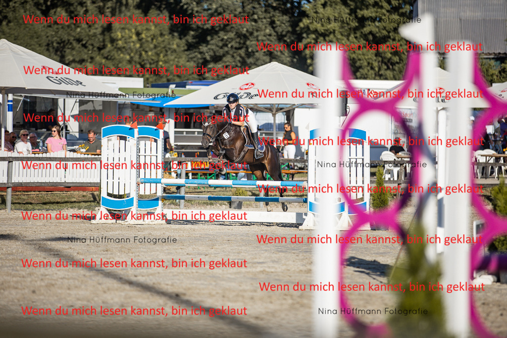 BK1A7869 | Turnierbilder Turnierfotos Nina Hüffmann Turnierfotografie Pferdefotografie Tierzeichnung Haustierzeichnung Pferdezeichnung Hundezeichnung Videograf  - Realisiert mit Pictrs.com