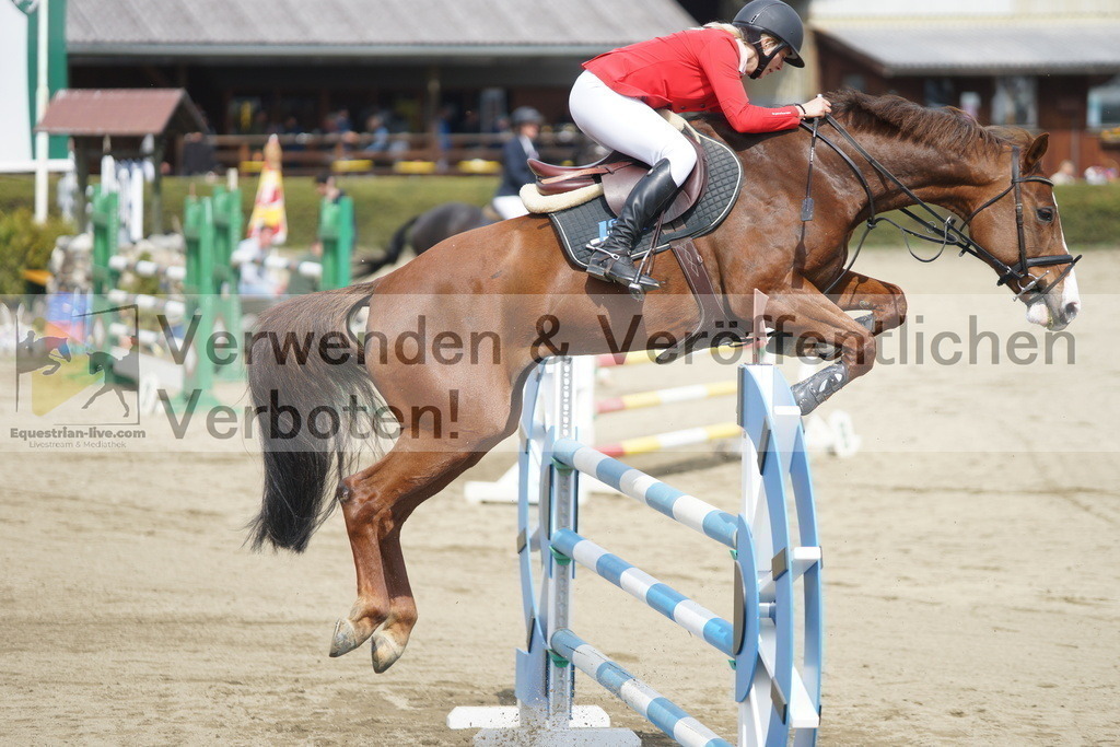 DSC01446 | equestrian-live-com