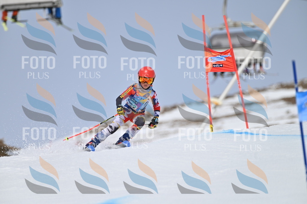 BGV_3692 | holidayphoto