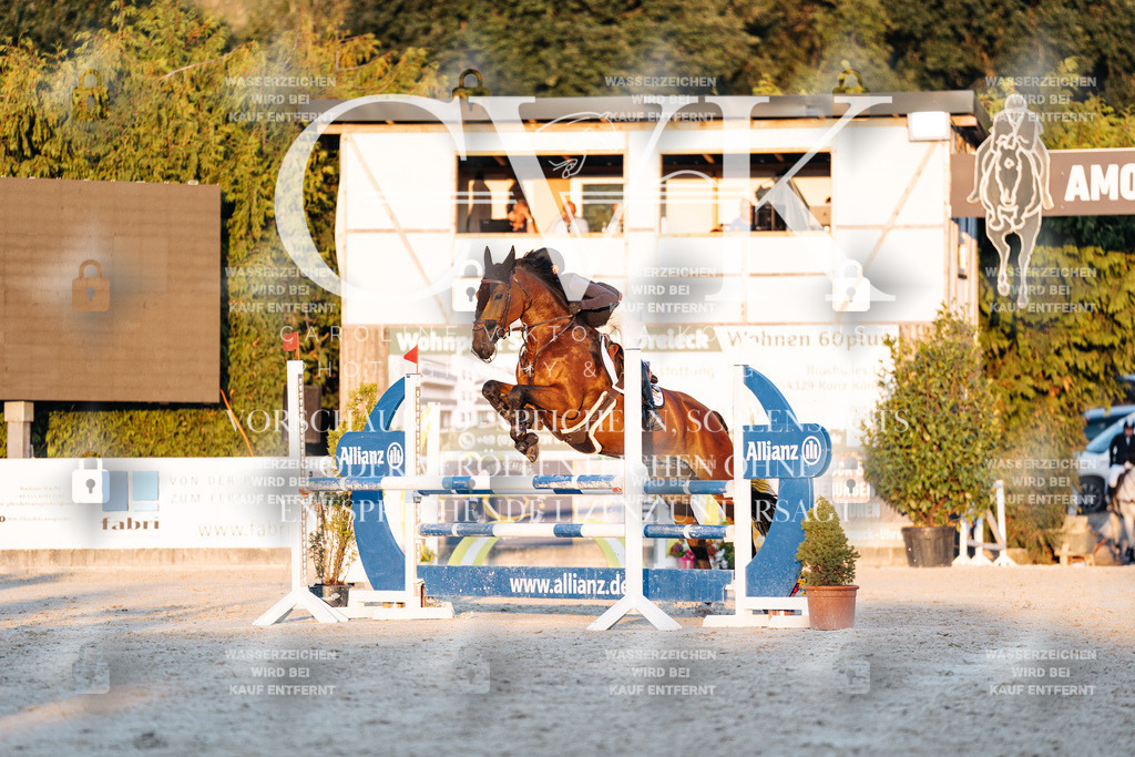 CK901249 | Turnierfotografie Pferdefotografie Trier Rheinland-Pfalz Pferdesport Reitsport Tierfotografie Sportfotografie Pferdevideo Pferdevideografie Equestrianvideography equestrianphotography  - Realisiert mit Pictrs.com