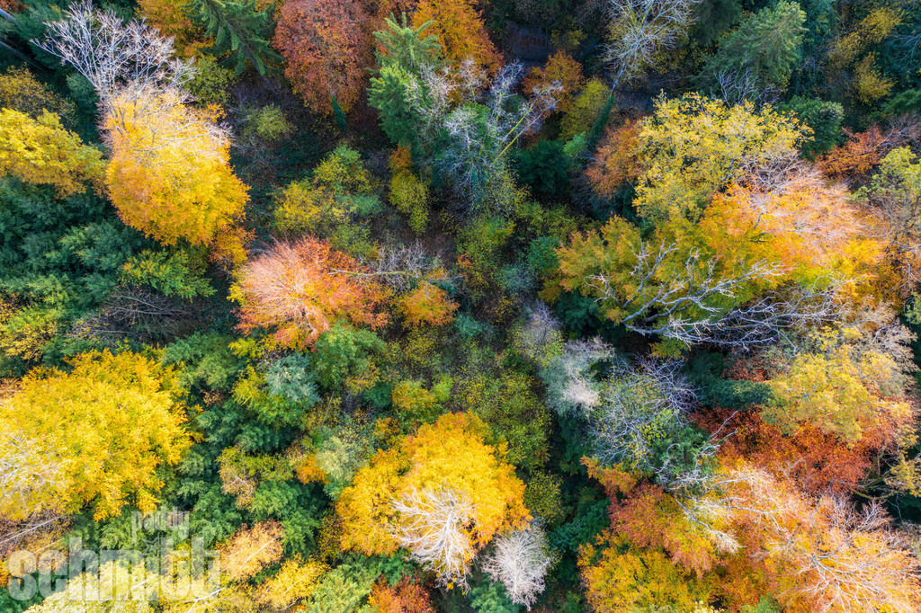 PS-Aerials-2026-11 | Entdecke die größte Bildgalerie der Region mit Fotografien aus dem Allgäu, der Bodenseeregion, Oberschwaben, dem Donautal und der Schwäbischen Alb. Landschaften, Luftaufnahmen und Reisefotografie als Wandbild und Fotokunst. - Realisiert mit Pictrs.com