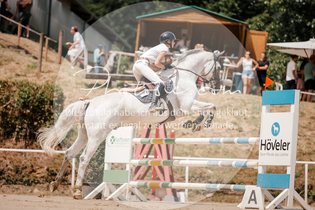 3I6A7714 | Stimmungsvolle Portraits und Reitsportfotografie im Ruhrgebiet und im Münsterland.

Pferdefotografie, Hundefotografie, Tierfotografie, Reportagen, Portraits von Tier und Mensch, Turnierfotografie in Bochum, Recklinghausen, Marl, Haltern am See, Dülmen.. - Realized with Pictrs.com