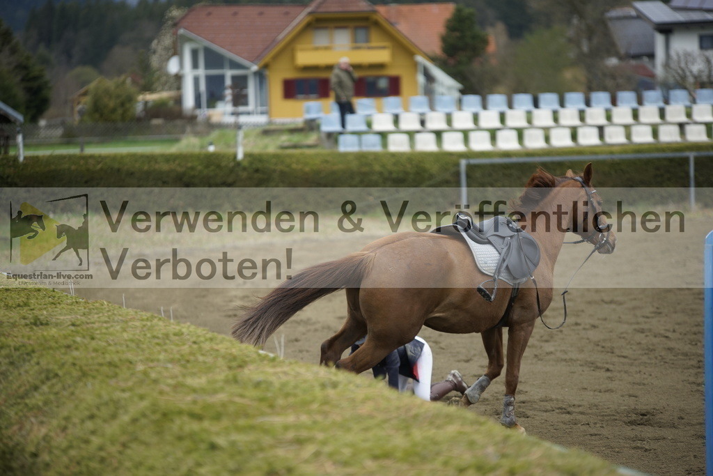 _DSC7167 | equestrian-live-com