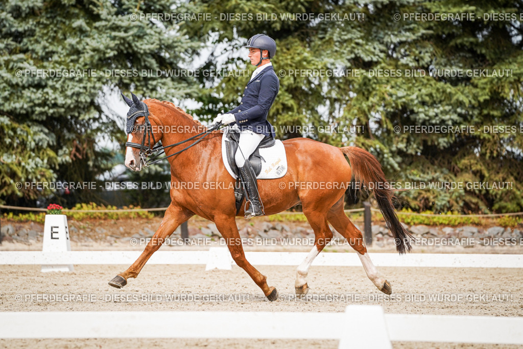 DSC06930 | Pferdegrafie