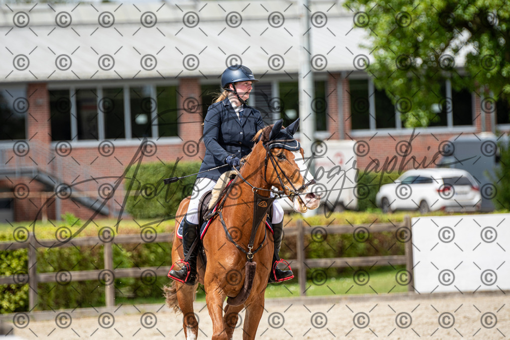 KPT_5812 | andre_photographic