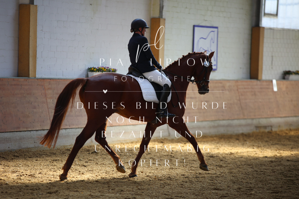 IMGT6839 | pl-fotografie