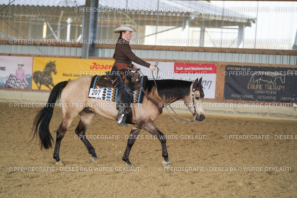 DSC00153 | Pferdegrafie