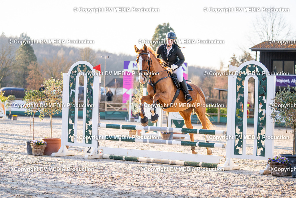 DSC-260 | dv-media-shop - Realisiert mit Pictrs.com