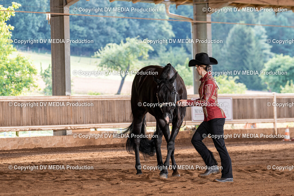 Erbach Tag 3-111 | dv-media-shop - Realisiert mit Pictrs.com