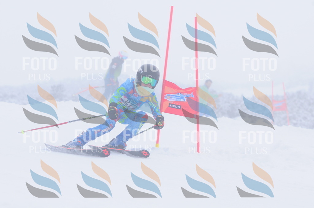 C2860 | holidayphoto