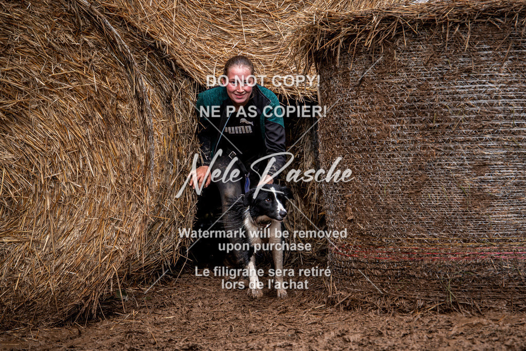 nelerasche_Hunsrück_So09-11_161 | nelerasche