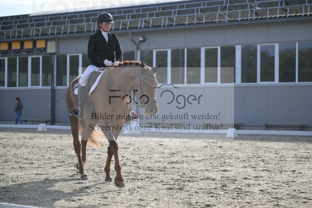 DOS_2799 | Entdecke hochwertige Reitturnierfotos von Foto Oger. Professionell, emotional und authentisch – jetzt Lieblingsmomente im Shop bestellen.Deutschlandweite Turnierfotografie. - Realisiert mit Pictrs.com